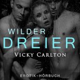 Wilder Dreier. Sex zu dritt