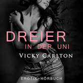 Dreier in der Uni. Erotik-Hörbuch