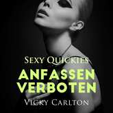 Anfassen verboten. Sexy Quickies - Erotik-Hörbuch