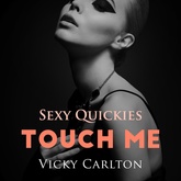 Touch me. Sexy Quickies - Erotik-Hörbuch